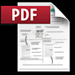 PDF