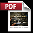 PDF